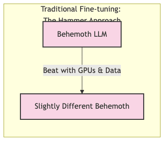Traditional Fine-tuning: The Hammer Approach