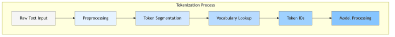 Tokenization Process